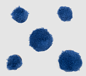 �������� ������������� ������������� ������: 3 �� - 25 ��, 2 �� - 40 �� | Autech |