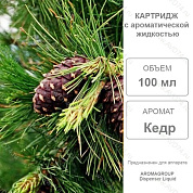   100  Liquid / Aromagroup / 