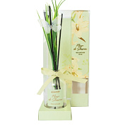 ������������� - FLEUR DE SHARM I CityUp I 100 ��