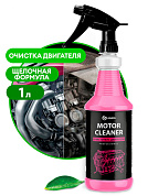   - Motor Cleaner  . | Grass | 1