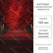 �������� ������� ������� 100 �� Liquid  / Aromagroup / 