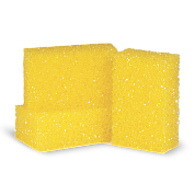      FLIEGENSCHWAMM HART | Koch |