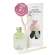  - FLEUR DE SHARM I CityUp I 140 