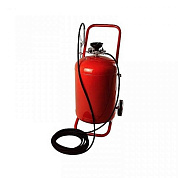  TOR 100  (  )
